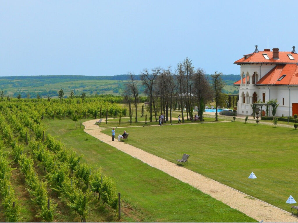 cool things romania wine vineyards wine tasting