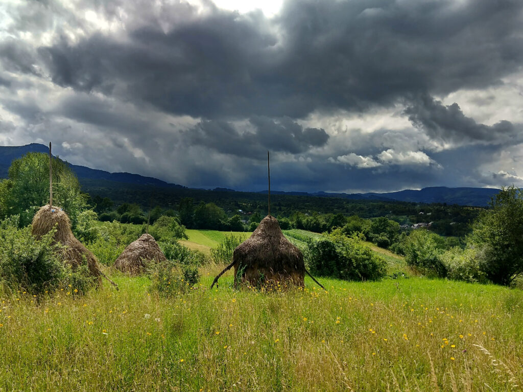 romanian village life haystacks maramures